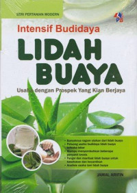 Intensif Budidaya Lidah Buaya